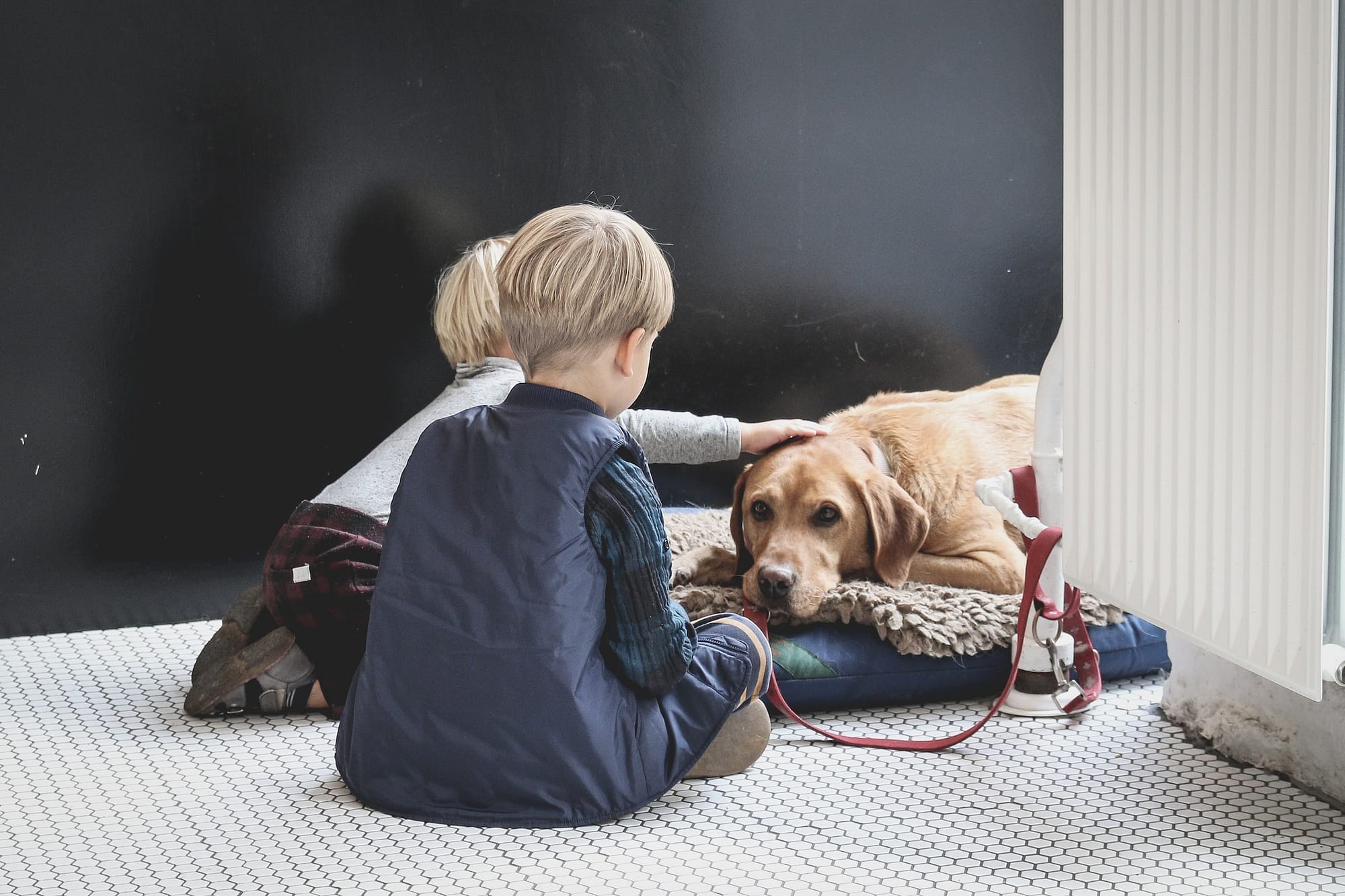 3 pet safety tips for kids
