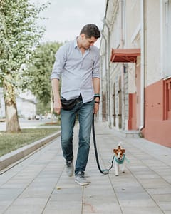 the ultimate guide to dog walking