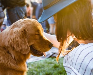 why do dogs love being petted?