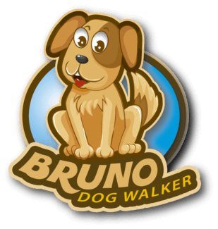 Bruno Dog Walker Upper East Side NYC